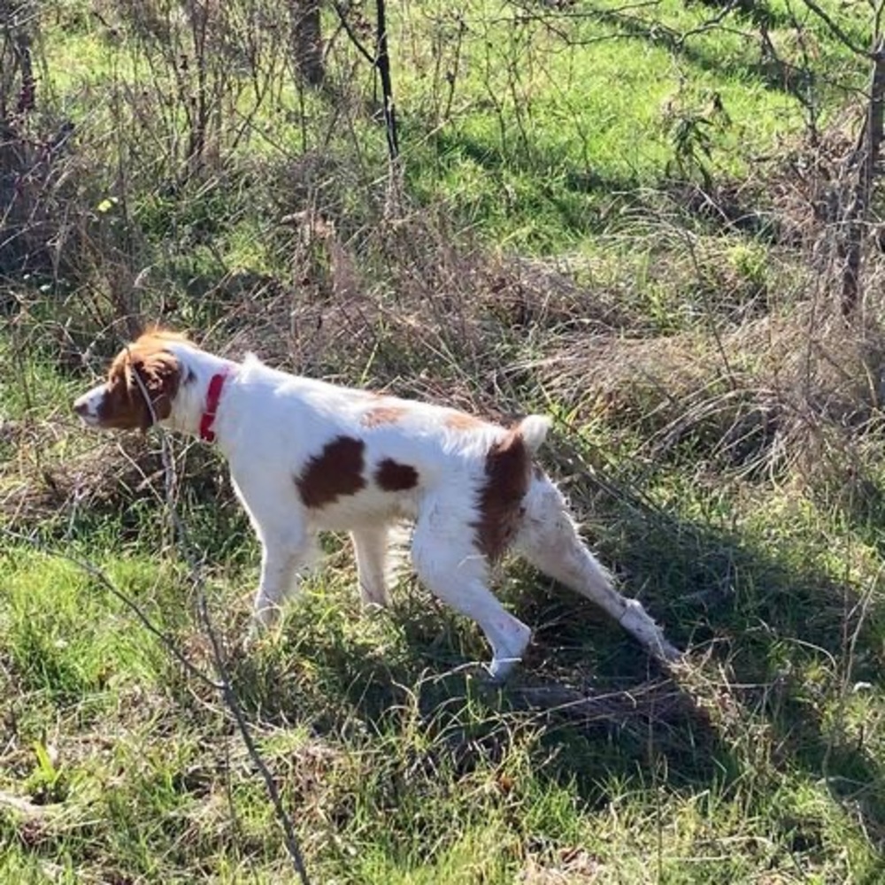 Meet your Posher, Barb